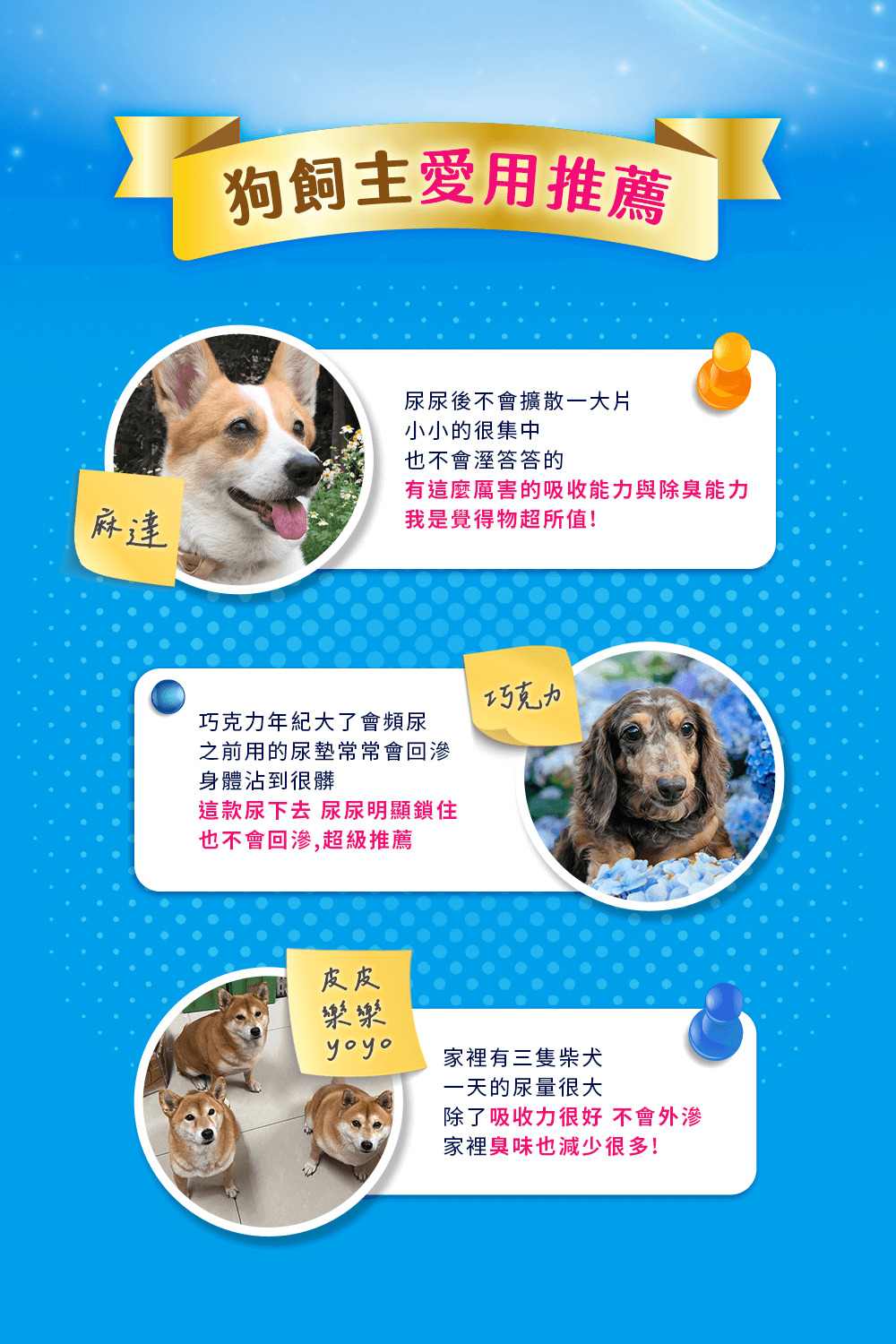 狗飼主愛用推薦