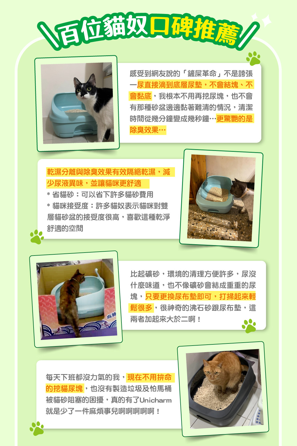 百位貓奴口碑推薦