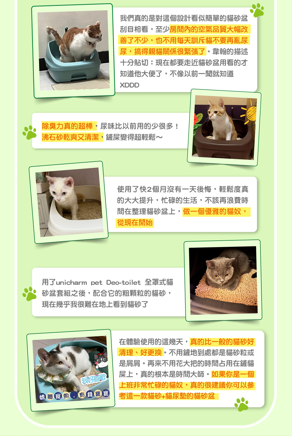 百位貓奴口碑推薦2