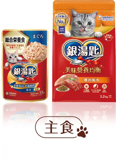 銀湯匙 主食