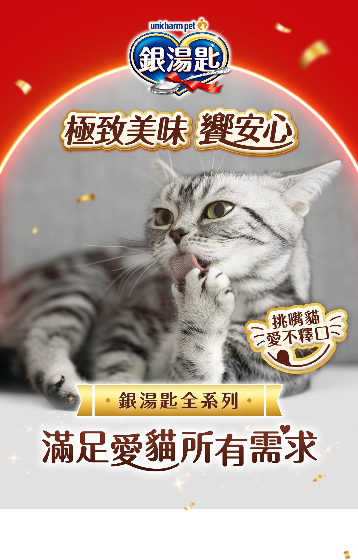銀湯匙 極致美味 饗安心 挑嘴貓 愛不擇口 銀湯匙全系列 滿足愛貓所有需求