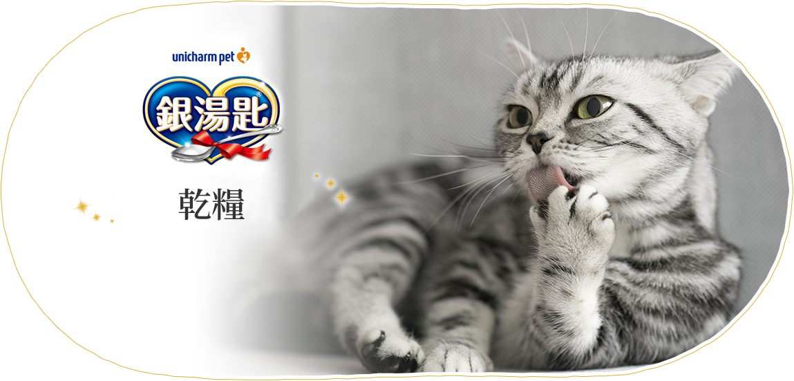 濕食
