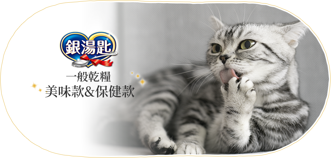濕食