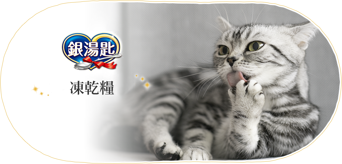濕食