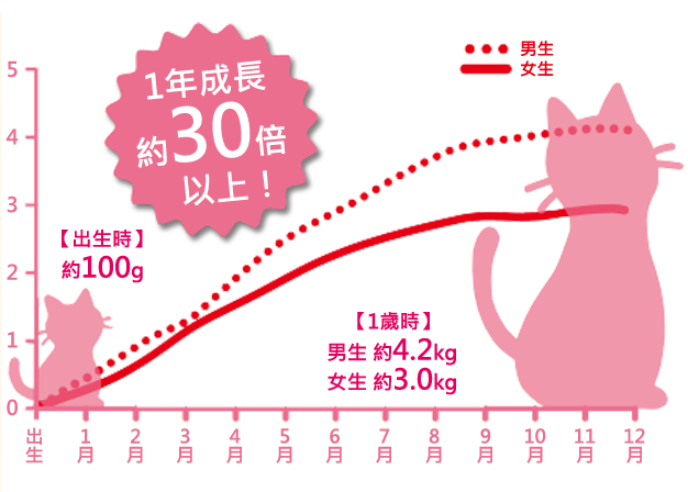 誕生から12カ月までの体重グラフ