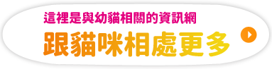 子ねこに関する情報サイトはこちらねこと、もっと