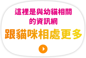 子ねこに関する情報サイトはこちらねこと、もっと