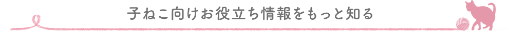 子ねこ向けお役立ち情報をもっと知る