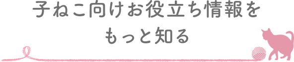 子ねこ向けお役立ち情報をもっと知る