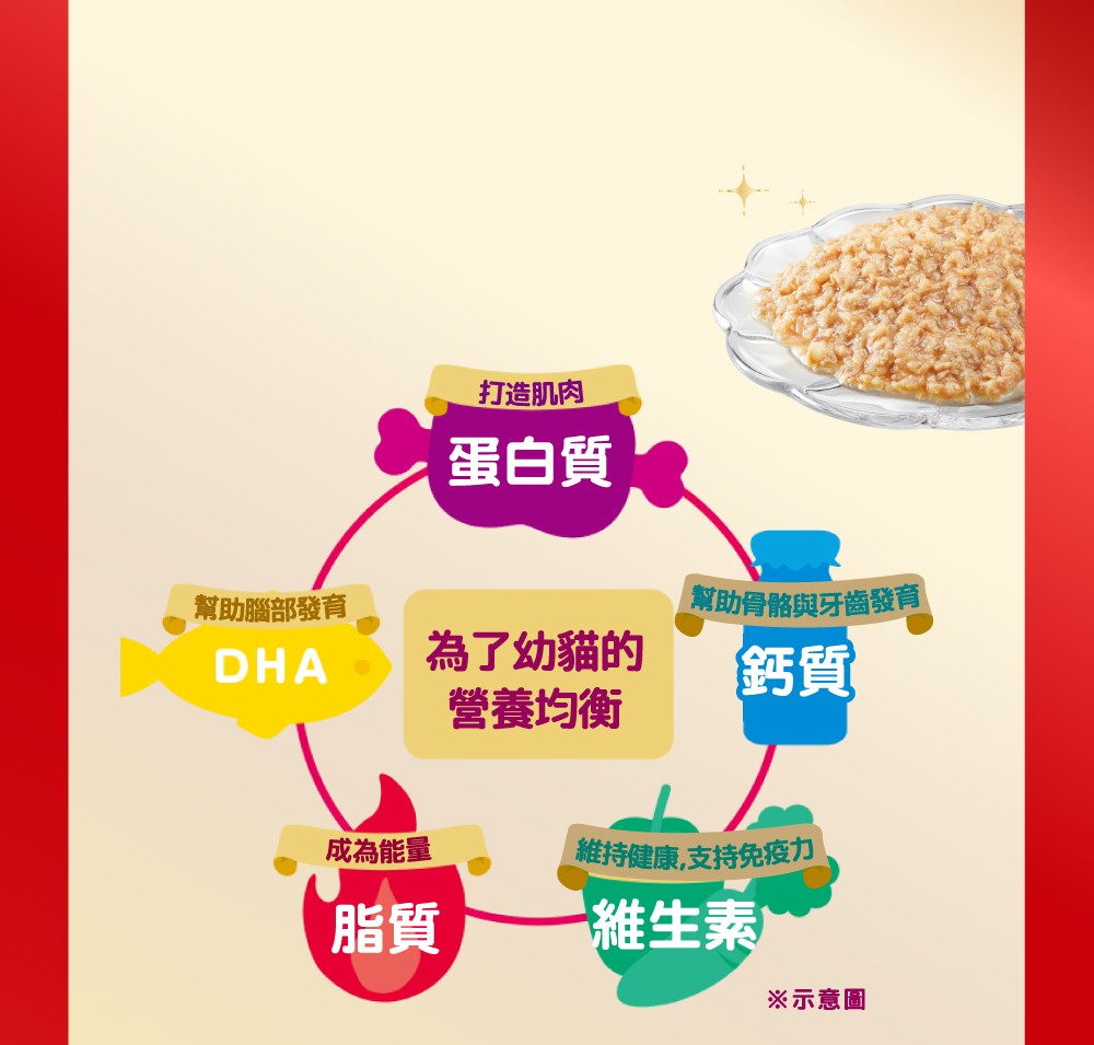 2.提供幼貓成長所需營養 添加各種營養素,提供快速成長的幼貓充足且均衡的營養