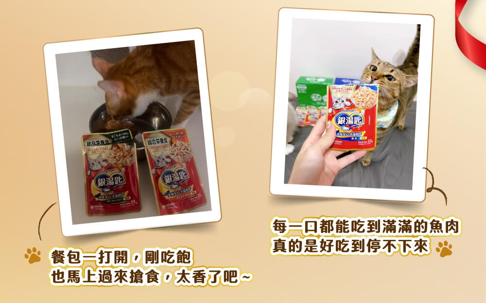 (餐包一打開,剛吃飽也馬上過來搶食,太香了吧~) (每一口都能吃到滿滿的魚肉 真的是好吃到停不下來)