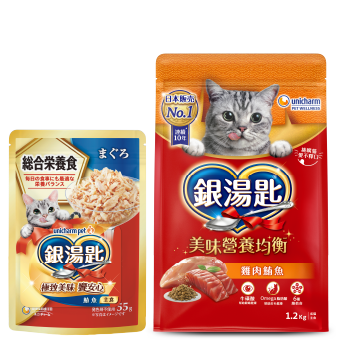 主食 示意圖