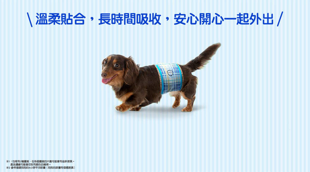 ７つの特長