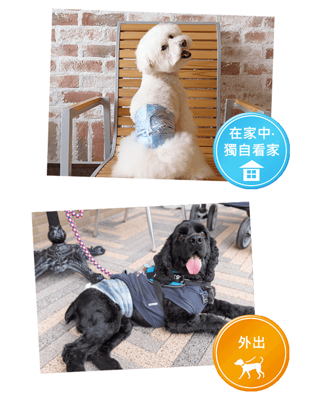 ７つの特長