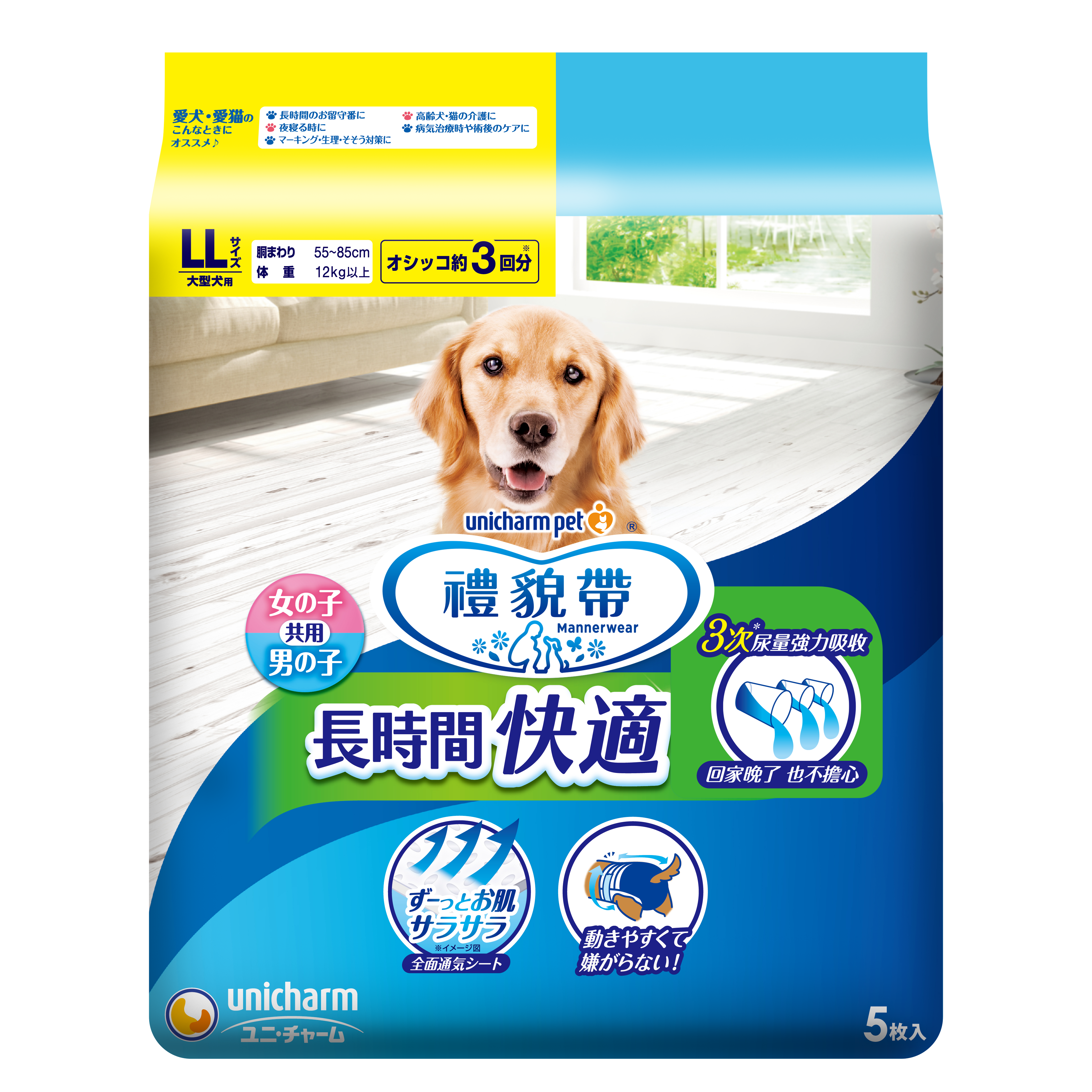 長時間禮貌帶 LL 尺寸